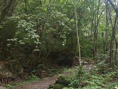 -青峰峡国家森林公园