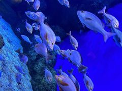 -成都浩海立方海洋公园
