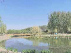 -东郊湿地公园