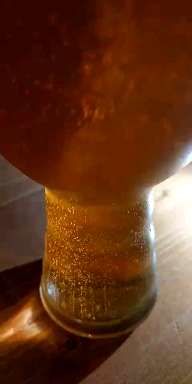 -雪梨精酿 Sydney Coast Brewing(沁春家园店)