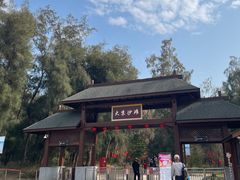 -大京沙滩