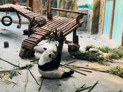-青藏高原野生动物园