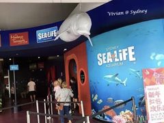 -悉尼海洋生物水族馆