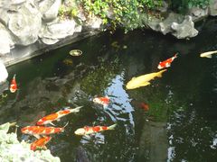 -鲤院·新中式美学·庭院餐厅(夫子庙店)