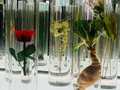 -北京中医药大学-中医药博物馆
