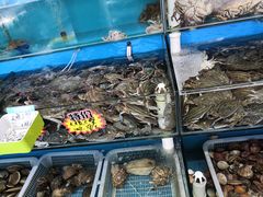 水产区-港畔赶海蒸汽海鲜烧烤自助(仙螺岛店)