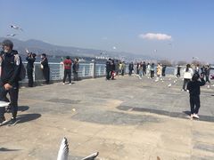 -滇池海埂公园