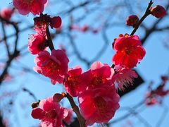 -大汉足道·影院式足疗按摩SPA(友谊广场店)