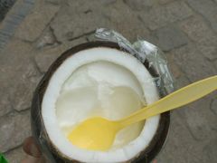-志龙皇冠吃货椰子铺