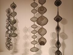 -旧金山现代艺术博物馆