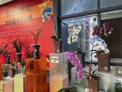 -厦门园林博览苑