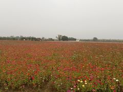 -南京老山国家森林公园