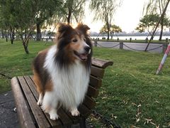 -杭州西湖风景名胜区北街寻梦停车场