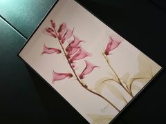 -柏悦SPA(君汇店)