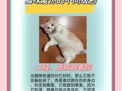 -美联众合动物医院·24h转诊中心