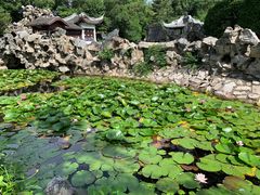 -无锡蠡湖国家湿地公园-蠡园