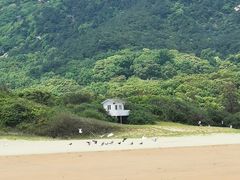 -普陀山风景名胜区-千步大沙