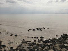 -瀛洲公园