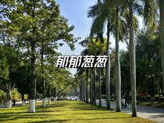 -厦门大学(思明校区)