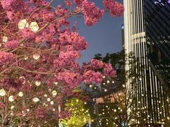 -深圳湾万象城(南山店)