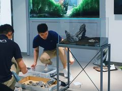 -ADA自然水景世界