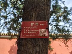 -北京市劳动人民文化宫(太庙)