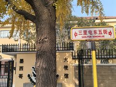 -三里屯东五街银杏大道