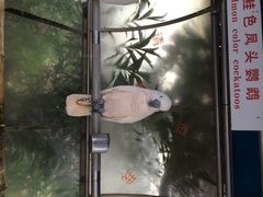 iphone_upload_pic-百鸟园