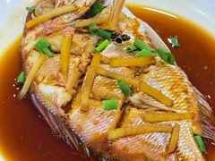 -红灯笼龙凤饭店(宁波老字号店)