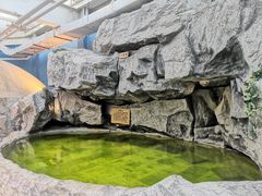 -爱江山温泉(凌奥店)