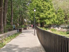 -白水寺森林公园