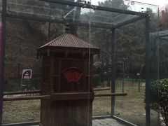 -西安曲江寒窑遗址公园