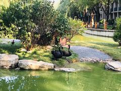-中央戏剧学院(昌平校区)
