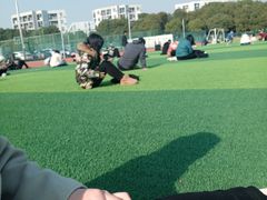 -南京理工大学紫金学院