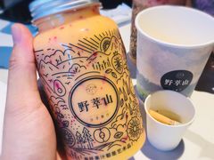 -野萃山·潮汕厚果汁(十亩地店)