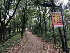 -雨花胜境