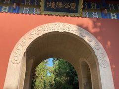 -灵谷景区