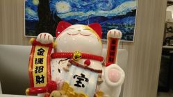 -CE·专业蛋白•羽毛接发·潮色烫染品牌店
