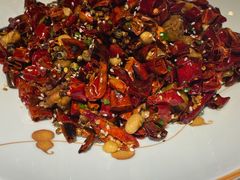 -雲蜀龙阁·金牌水煮鱼(方庄店)