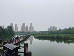 -前关湿地公园