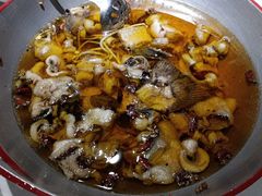 -雲蜀龙阁·金牌水煮鱼(方庄店)