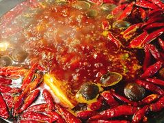 -黄潇洒老火锅(九眼桥宏济巷店)