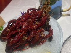 -洪福龙虾
