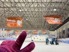 -绍兴启迪乔波冰雪世界