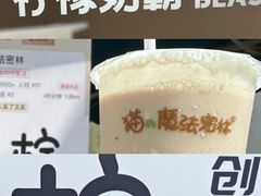 -猫的魔法密林(衣裳街店)