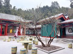 -宫事颐庭·老佛爷贵寿下午茶(颐和园店)