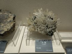 -安徽省地质博物馆