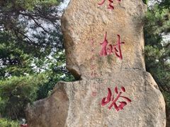 -鲁山国家森林公园