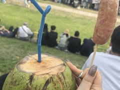 -观潮胜地公园