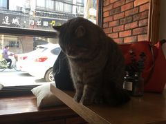 -B.O.M波姆烘焙(凤凰街店)